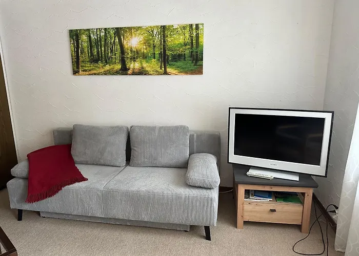 Appartement In-ski Out *