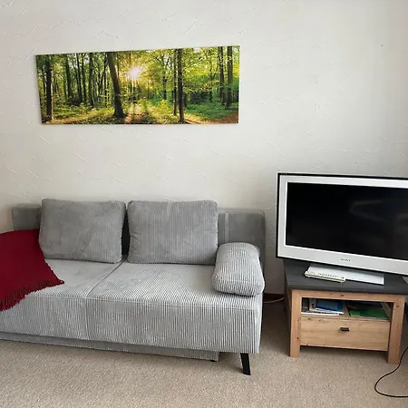 Appartement In-ski Out *